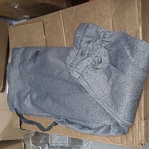 The north face grey pants